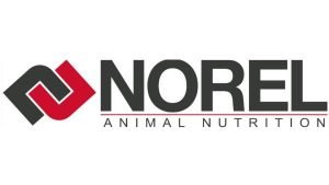 20210916154832norel.jpg