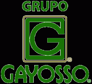Logo_gayosso_sin_fondo_en_alta.gif