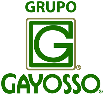 Logo de Gayosso