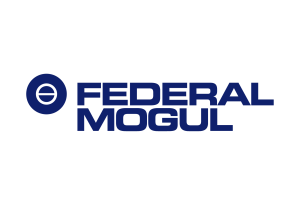 png_federal-mogul.webp